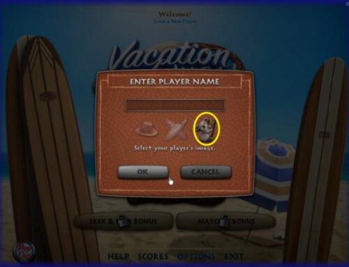 Fisch Crazy Cat Lady Riddles Answers