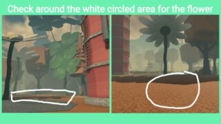 image showing where the flower appears to spawn fuzzball image showing where the flower appears to spawn fuzzball