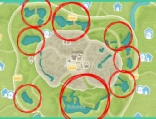 Heartopia Winter Bird Locations – Easiest Way to Find Them