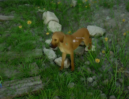 Crimson Desert: How to take in the dog