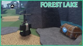 image shows the forest lake chest location