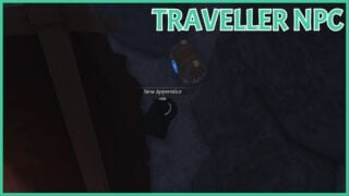 image shows the traveller npc locations